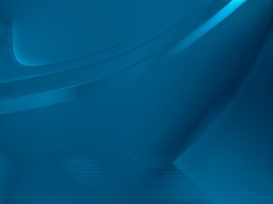 新手养宠必备的宠物用品清单与选购技巧